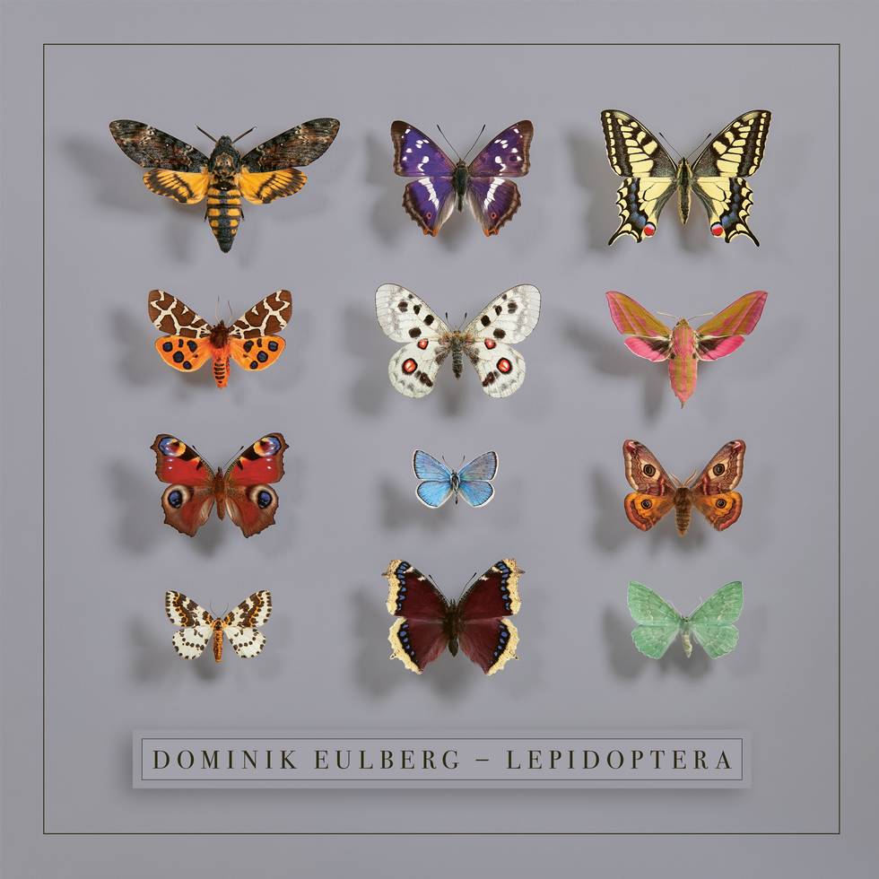 Dominik Eulberg - Lepidoptera (Album Cover).png Dominik Eulberg - Lepidoptera (Album Cover).png